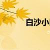 白沙小区（关于白沙小区介绍）