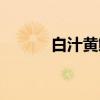 白汁黄鳝(关于白汁黄鳝介绍) 白汁黄鳝(关于白汁黄鳝介绍)