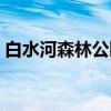 白水河森林公园（关于白水河森林公园介绍）