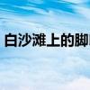 白沙滩上的脚印（关于白沙滩上的脚印介绍）