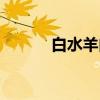 白水羊肉（关于白水羊肉介绍）