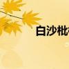 白沙枇杷（关于白沙枇杷介绍）