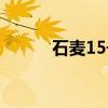石麦15号（关于石麦15号介绍）