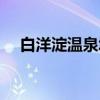 白洋淀温泉城（关于白洋淀温泉城介绍）