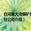 白河县大湾银矿有限责任公司（关于白河县大湾银矿有限责任公司介绍）