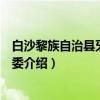 白沙黎族自治县牙叉镇党委（关于白沙黎族自治县牙叉镇党委介绍）