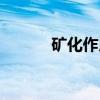 矿化作用（关于矿化作用介绍）