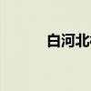白河北村（关于白河北村介绍）