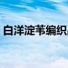 白洋淀苇编织品（关于白洋淀苇编织品介绍）
