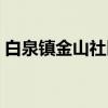 白泉镇金山社区（关于白泉镇金山社区介绍）
