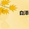 白泽明（关于白泽明介绍）