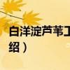 白洋淀芦苇工艺画(关于白洋淀芦苇工艺画介绍) 白洋淀芦苇工艺画(关于白洋淀芦苇工艺画介绍)
