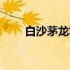 白沙茅龙笔（关于白沙茅龙笔介绍）