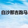 白沙那吉跑马场（关于白沙那吉跑马场介绍）