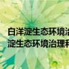 白洋淀生态环境治理和保护规划 2018—2035年（关于白洋淀生态环境治理和保护规划 2018—2035年介绍）