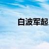 白波军起义（关于白波军起义介绍）