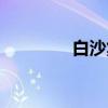 白沙集（关于白沙集介绍）