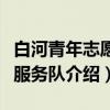 白河青年志愿者服务队（关于白河青年志愿者服务队介绍）