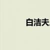 白洁夫人（关于白洁夫人介绍）