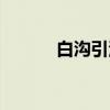 白沟引河（关于白沟引河介绍）