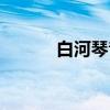 白河琴音（关于白河琴音介绍）