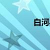 白河县（关于白河县介绍）