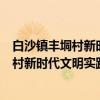 白沙镇丰垌村新时代文明实践志愿服务队（关于白沙镇丰垌村新时代文明实践志愿服务队介绍）