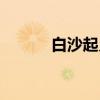 白沙起义（关于白沙起义介绍）