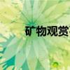 矿物观赏石（关于矿物观赏石介绍）