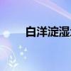白洋淀湿地（关于白洋淀湿地介绍）