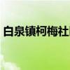 白泉镇柯梅社区（关于白泉镇柯梅社区介绍）
