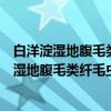 白洋淀湿地腹毛类纤毛虫的区系与多样性研究（关于白洋淀湿地腹毛类纤毛虫的区系与多样性研究介绍）