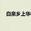 白泉乡上华村（关于白泉乡上华村介绍）