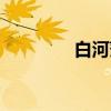 白河藩（关于白河藩介绍）