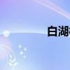 白湖村（关于白湖村介绍）