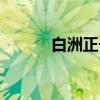 白洲正子（关于白洲正子介绍）