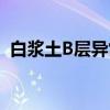 白浆土B层异常（关于白浆土B层异常介绍）