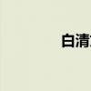 白清文（关于白清文介绍）