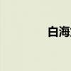 白海龙（关于白海龙介绍）