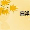 白洋湖（关于白洋湖介绍）