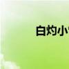 白灼小管（关于白灼小管介绍）