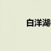 白洋湖村（关于白洋湖村介绍）