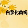 白浆化黄褐土（关于白浆化黄褐土介绍）
