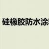 硅橡胶防水涂料（关于硅橡胶防水涂料介绍）