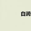 白润生（关于白润生介绍）