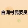 白湖村民委员会（关于白湖村民委员会介绍）