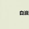 白浪滩（关于白浪滩介绍）