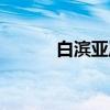 白滨亚岚（关于白滨亚岚介绍）