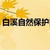 白溪自然保护区（关于白溪自然保护区介绍）