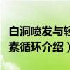 白洞喷发与轻元素循环（关于白洞喷发与轻元素循环介绍）